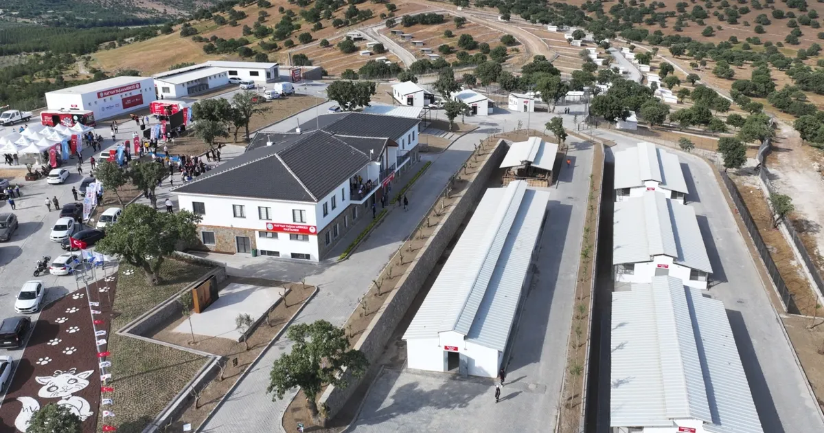 Manisa’da sokak hayvanları için Hayvan Yaşam Merkezi hizmete açıldı